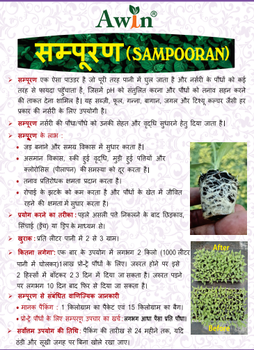 Hindi flyre